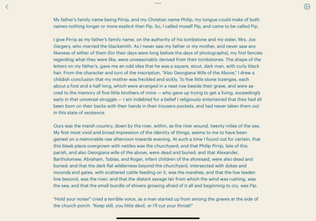 Screenshot of Simpletext on iPad (iOS) with sans serif font in custom theme