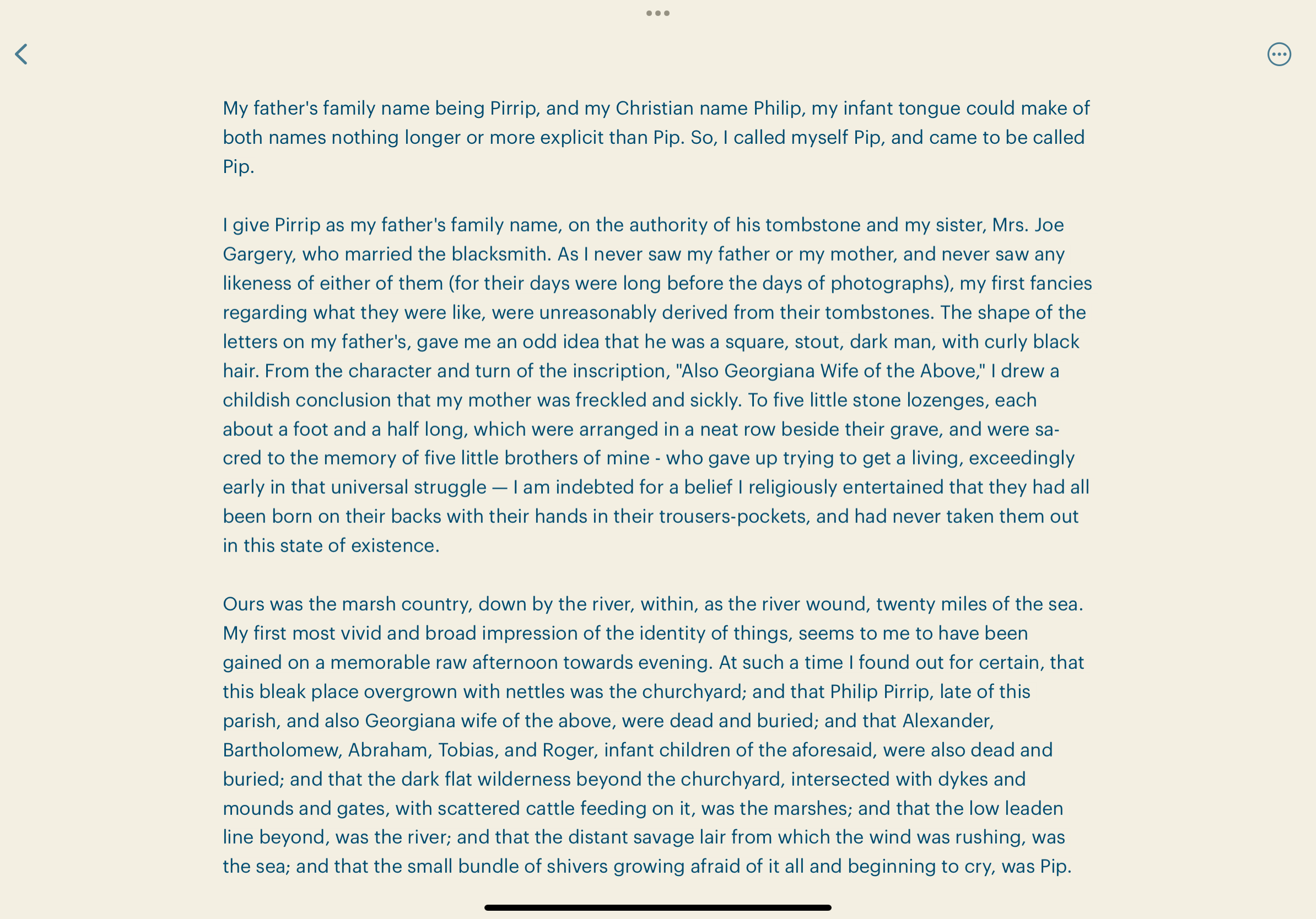 Screenshot of Simpletext on iPad (iOS) with sans serif font in custom theme
